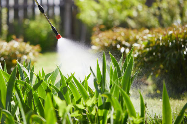 Void Injection for Cockroach Colonies in Whitmore Lake