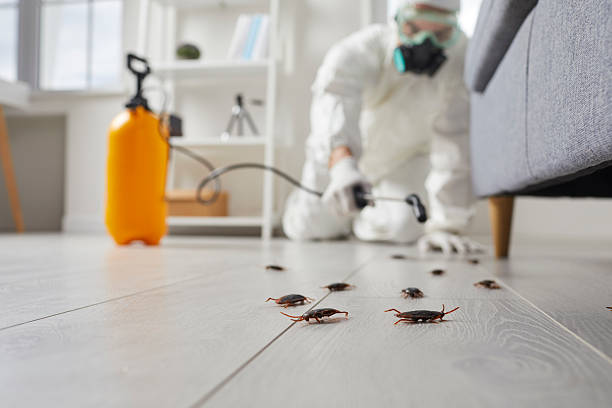 Commercial Kitchen Cockroach Control in Whitmore Lake
